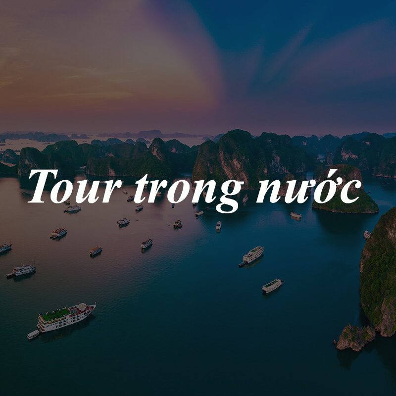 ltdl-vinh-HL-3-800x800